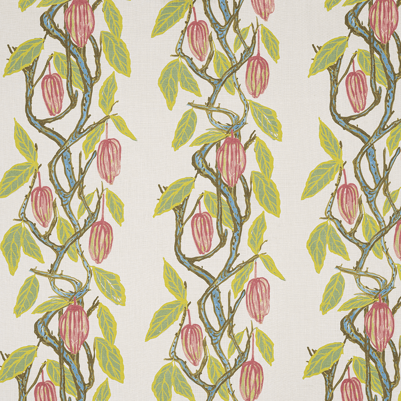 Cacao | Cerulean Blue Pink