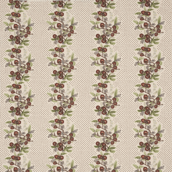 Emma | Cinnabar Coffee