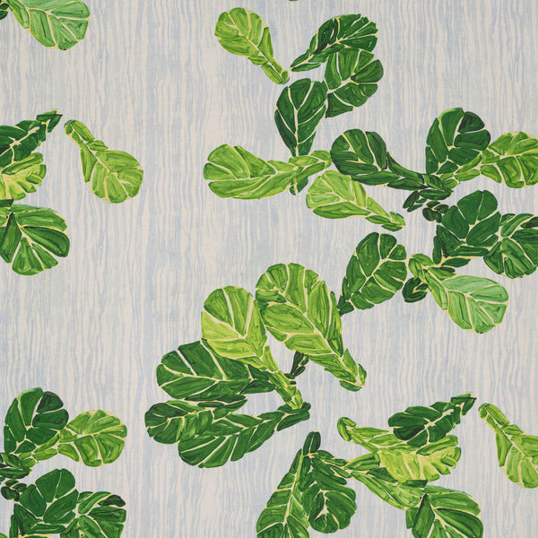 Fiddle Leaf Fig | Green Mist Blue