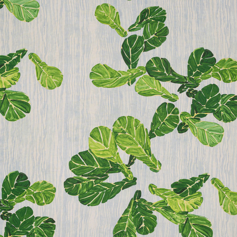 Fiddle Leaf Fig | Green Mist Blue