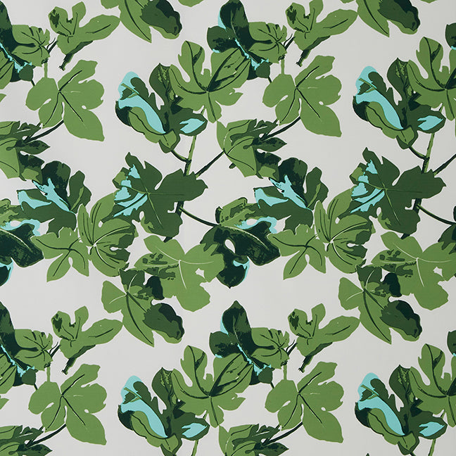 Fig Leaf | Original on White