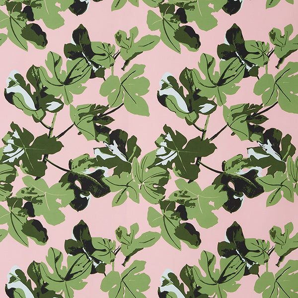 Fig Leaf | Original on Pink