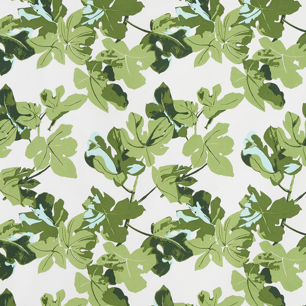 Fig Leaf | Orig on White