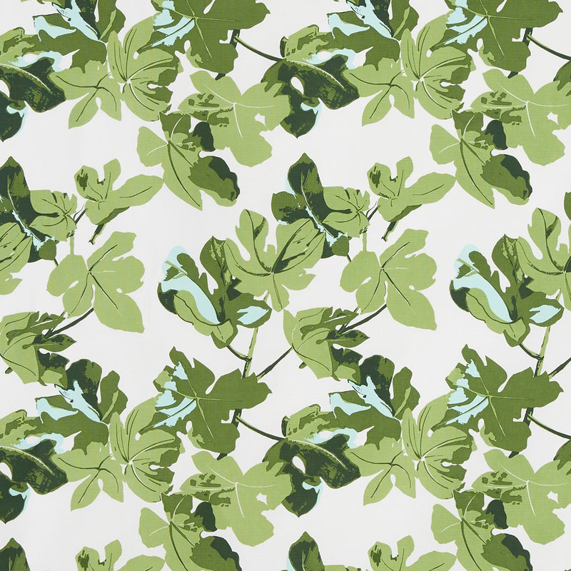 Fig Leaf | Orig on White