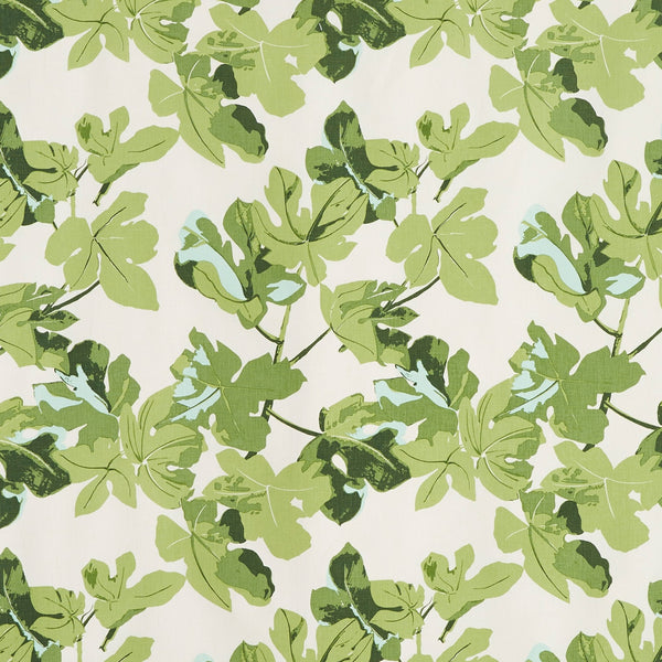 Fig Leaf | Faded on Hemp