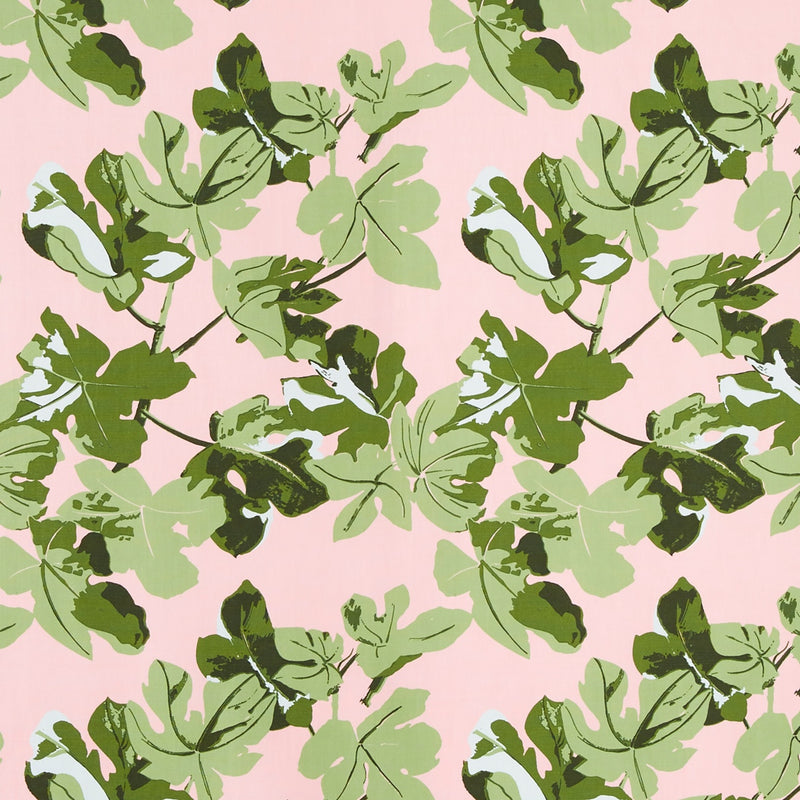 Fig Leaf | Original on Pink