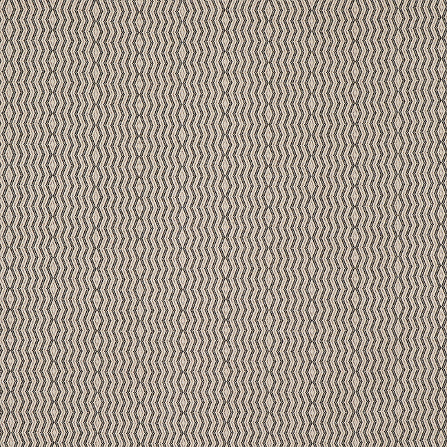 Persis | Charcoal on Natural