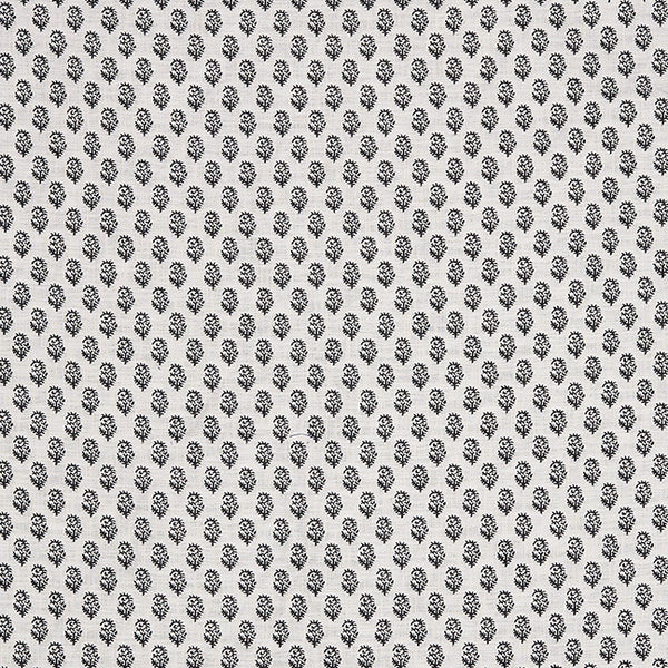 Rajmata | Charcoal on Natural