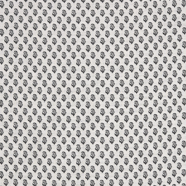 Rajmata | Charcoal on Natural