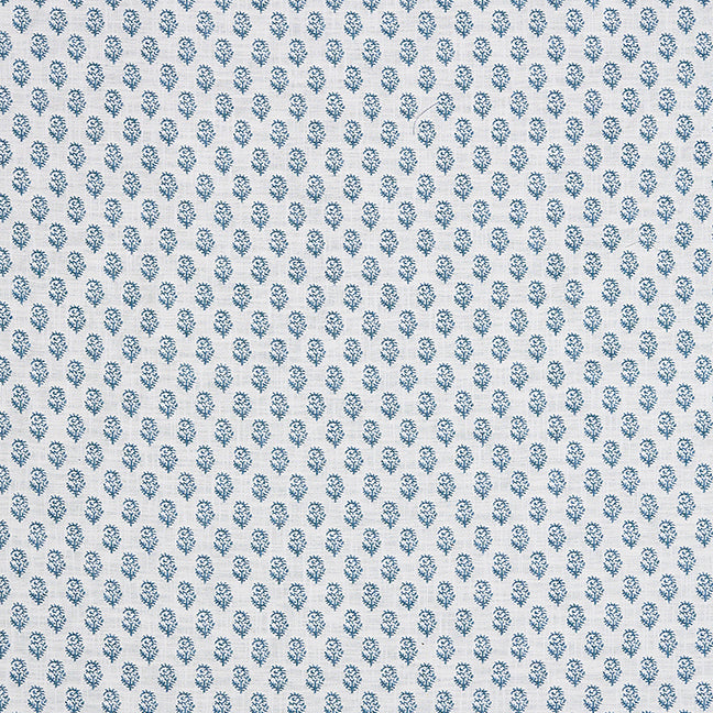 Rajmata | Aquamarine on White