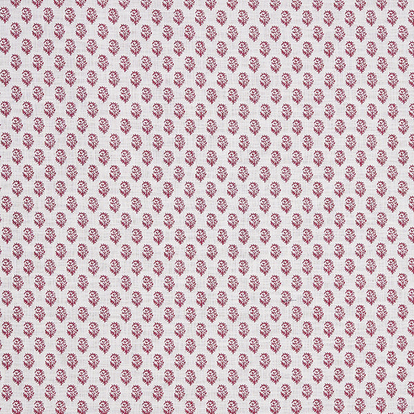 Rajmata | Clay Pink on White