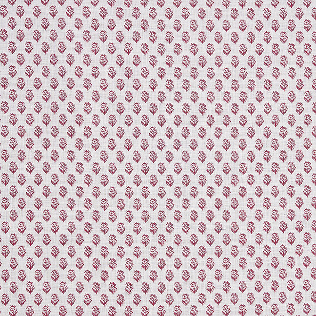 Rajmata | Clay Pink on White