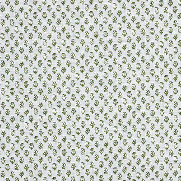 Rajmata | Pear on White