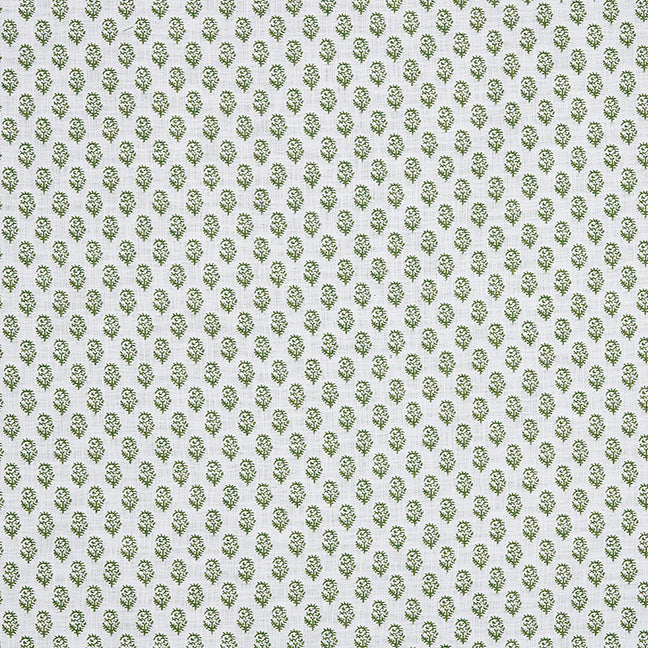 Rajmata | Pear on White