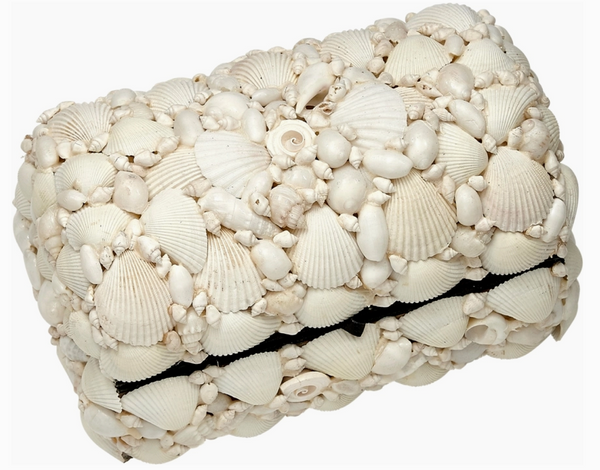 White Shell Treasure Box