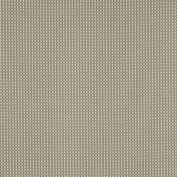 Susa | Green on Natural