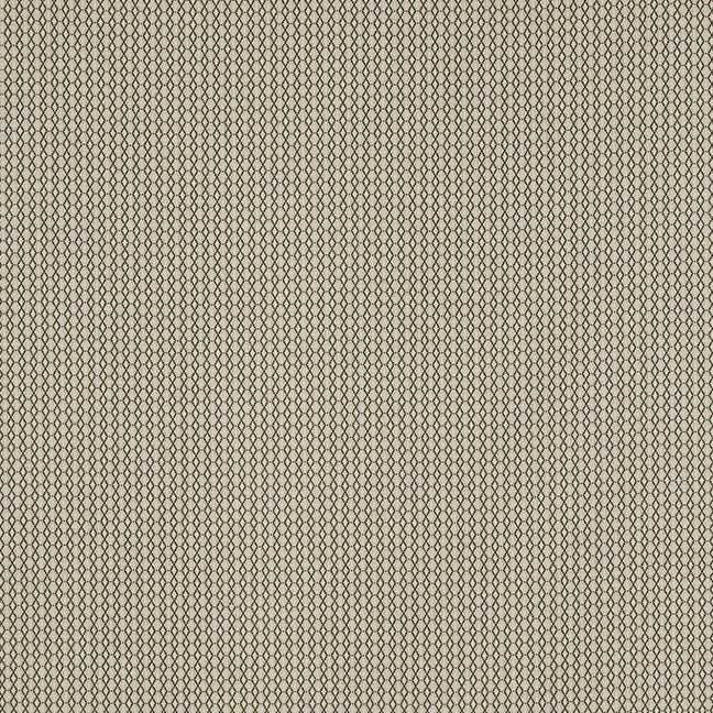 Susa | Green on Natural